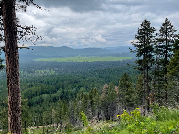 The Dusty Bandita – A Race&nbsp;Review